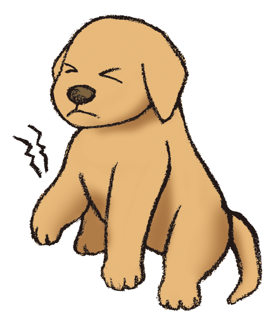 脚が痛い犬