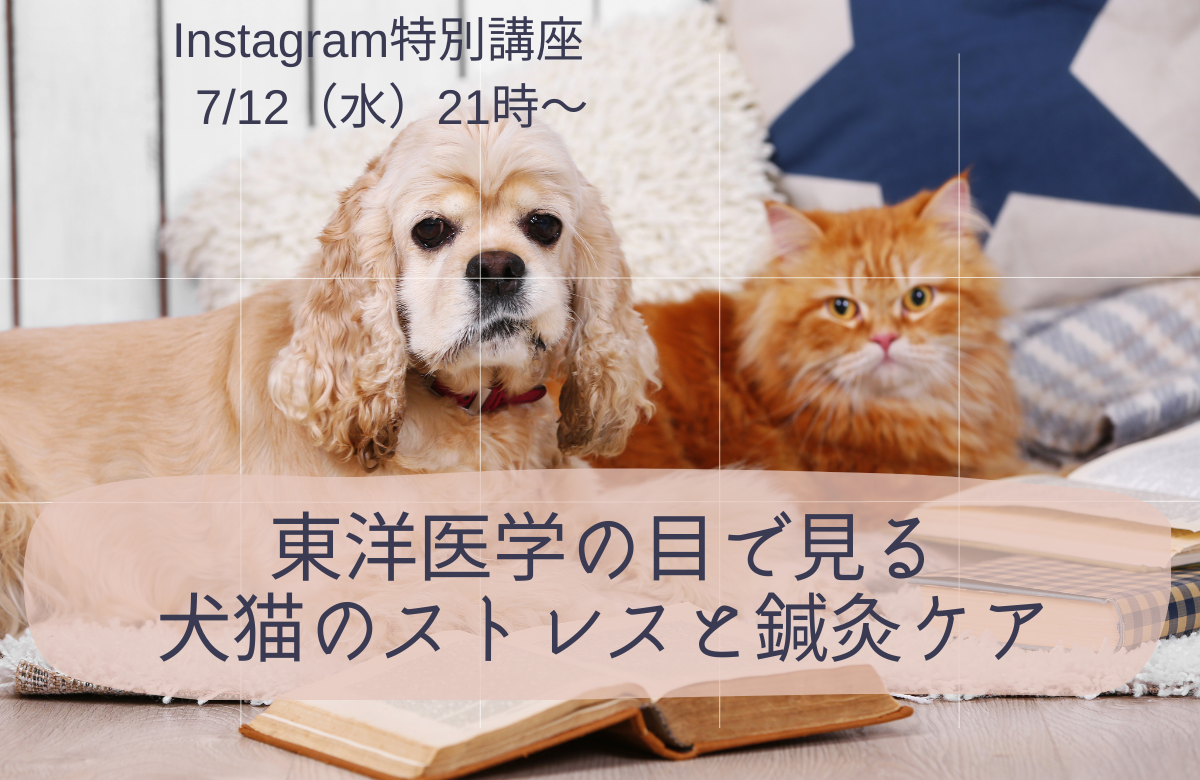 Instagram特別講座7/12バナー