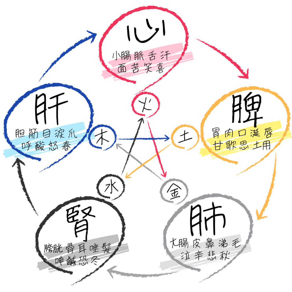 五行と五臓