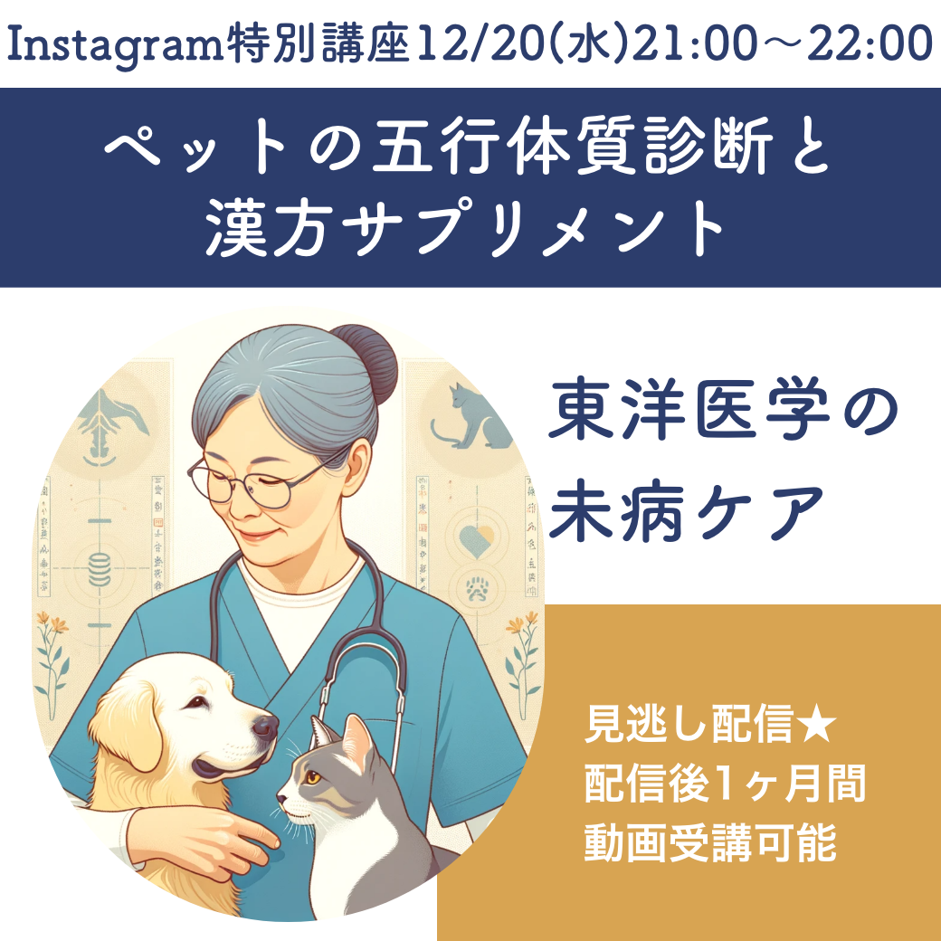 Instagram特別講座漢方サプリメントバナー