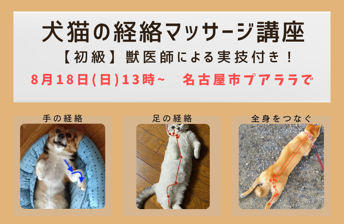 犬猫の経絡マッサージ講座 in 名古屋初級バナー