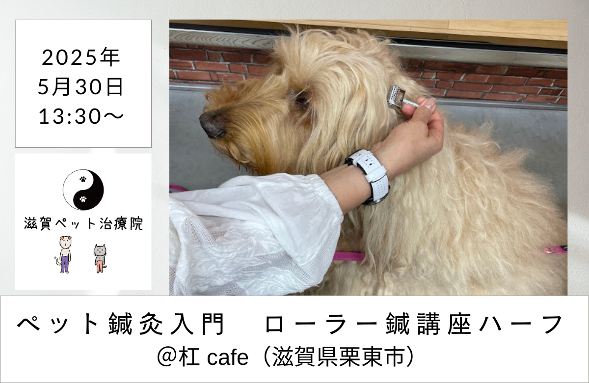 滋賀ローラー鍼講座ハーフバナー
