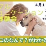 アニマルコミュニケーション無料体験会のお知らせ