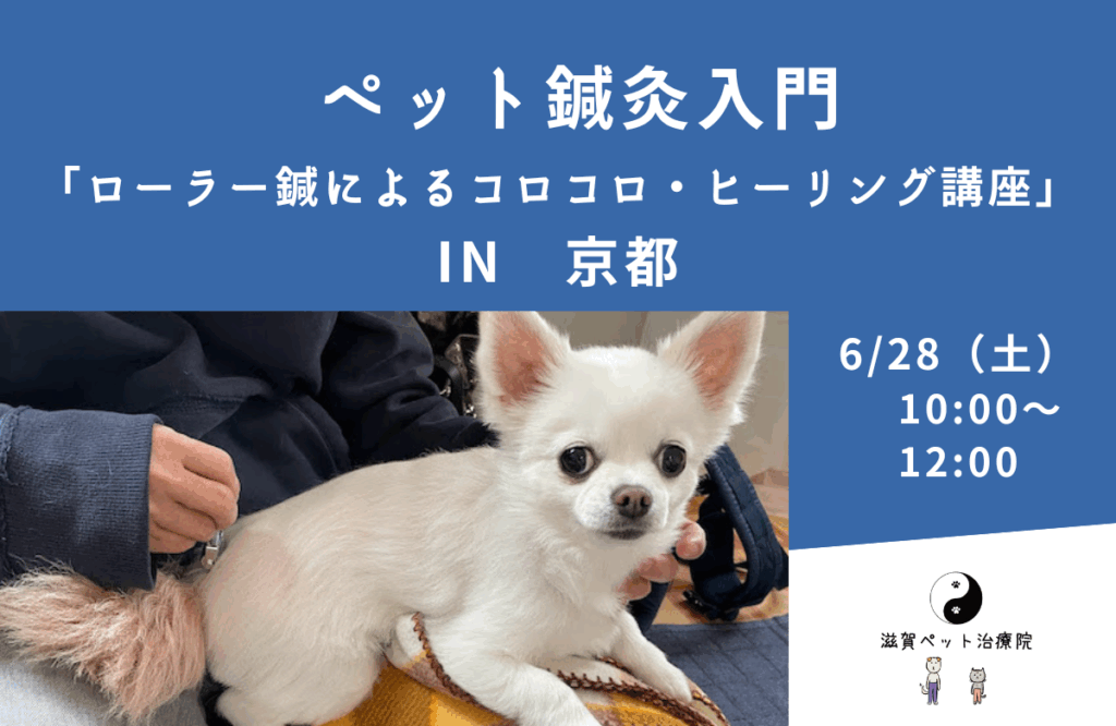 ペット鍼灸入門「ローラー鍼によるコロコロ・ヒーリング講座」京都バナー