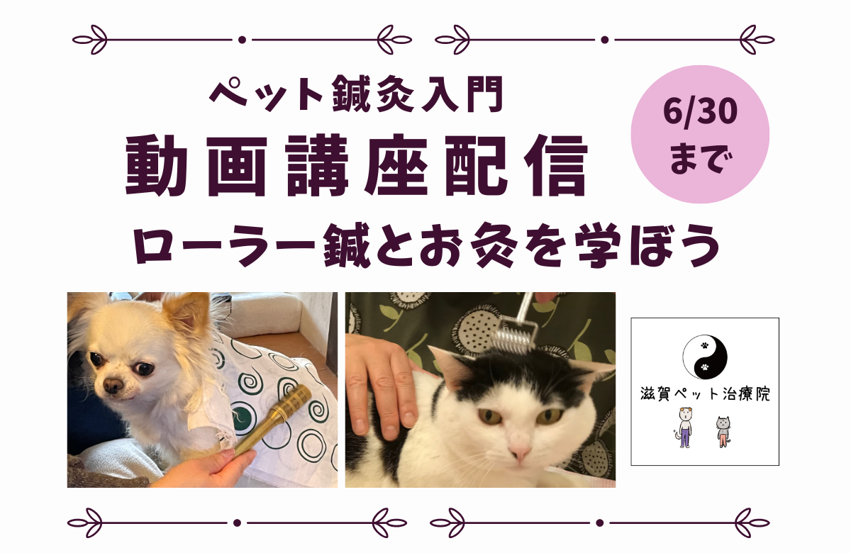 ペット鍼灸入門動画講座一括申込みバナー