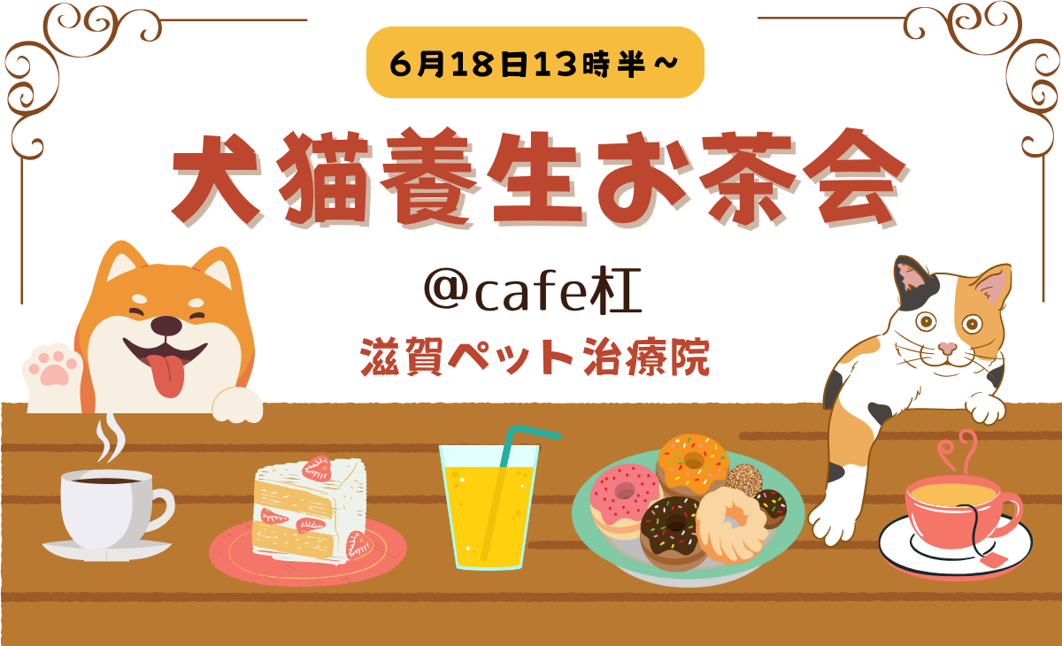 犬猫養生お茶会バナー