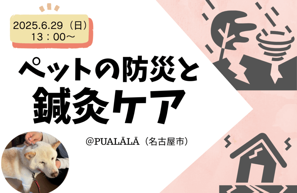 ペットの防災と鍼灸ケア講座バナー