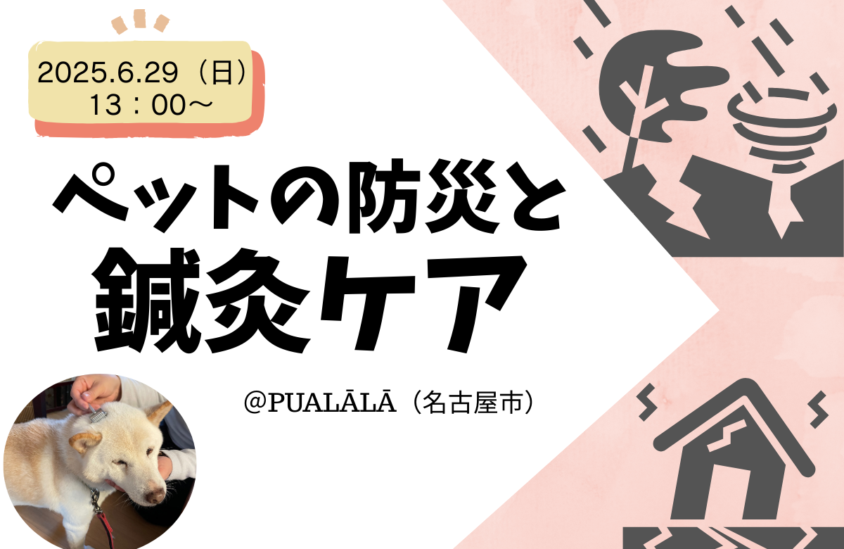 ペットの防災と鍼灸ケア講座バナー