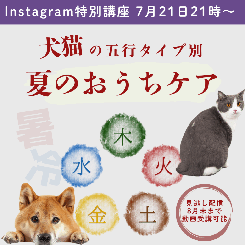 Instagram特別講座夏のおうちケアバナー