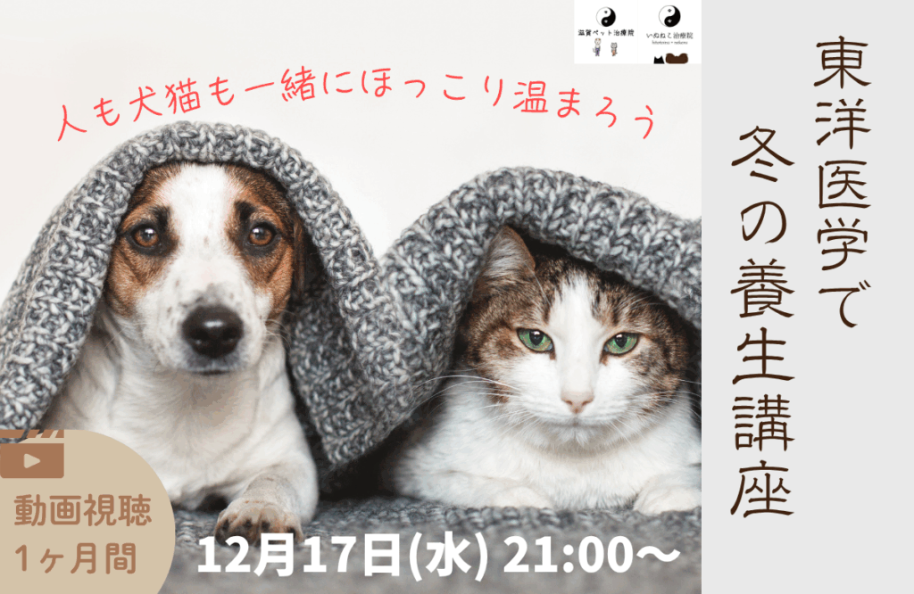 オンラインミニ講座「東洋医学で冬の養生」バナー