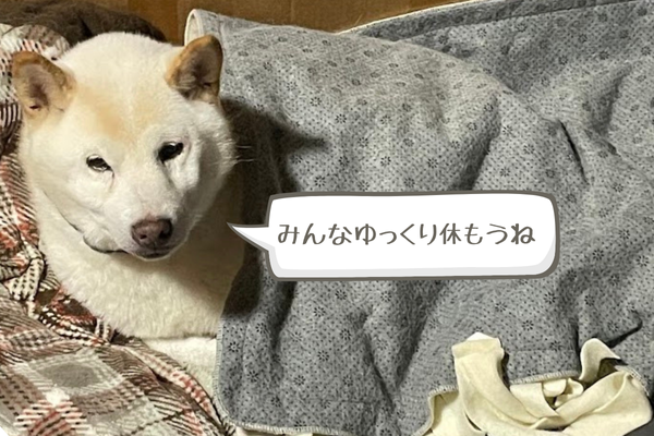 チロくん休み中