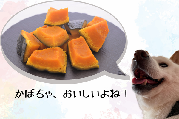 カボチャを食べたいチロくん