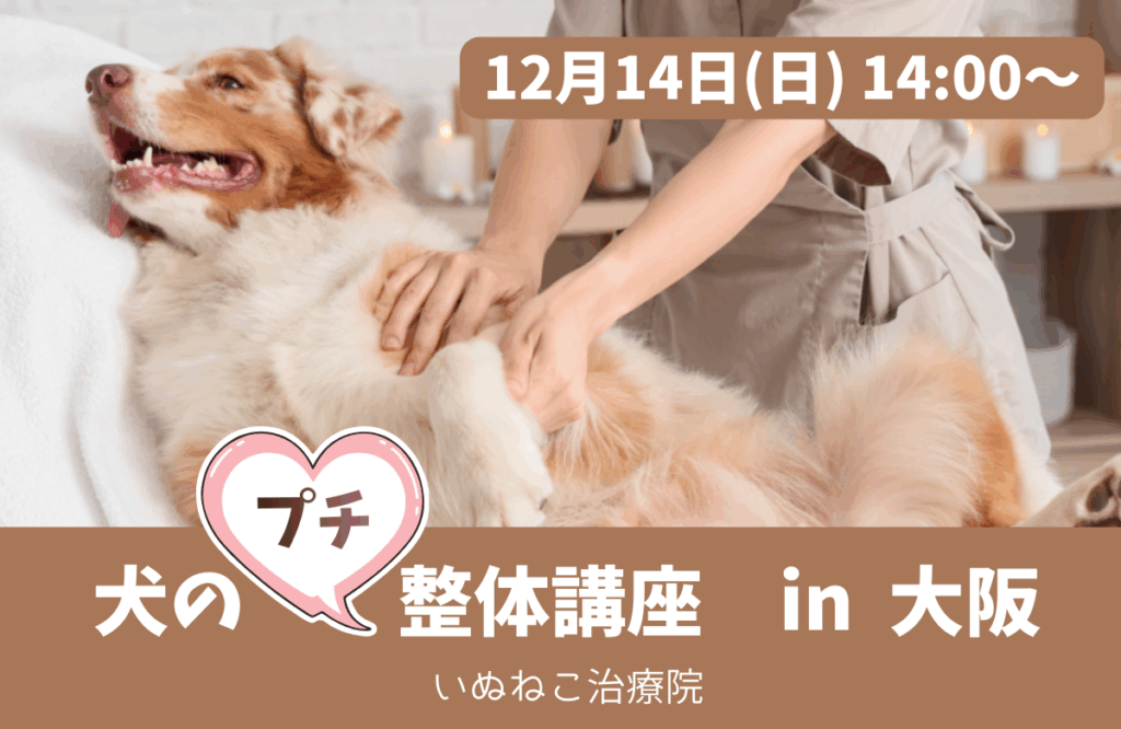 犬のプチ整体講座大阪バナー