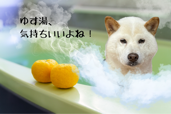 ゆず湯に入るチロくん