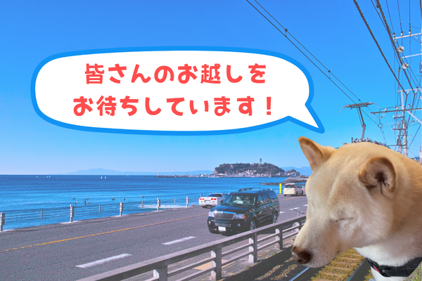 鎌倉に来てねバナー