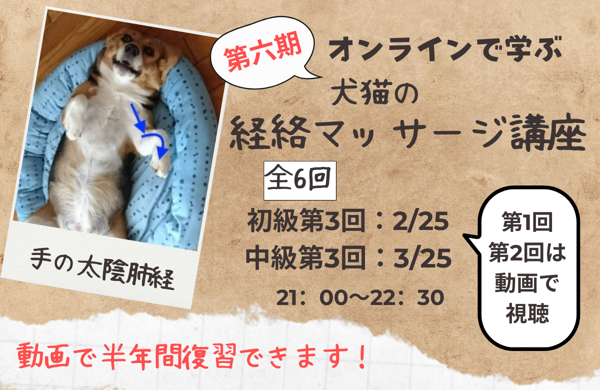 犬猫の経絡マッサージ講座バナー