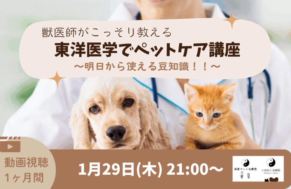 オンラインミニ講座バナー