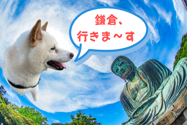 鎌倉行きますバナー