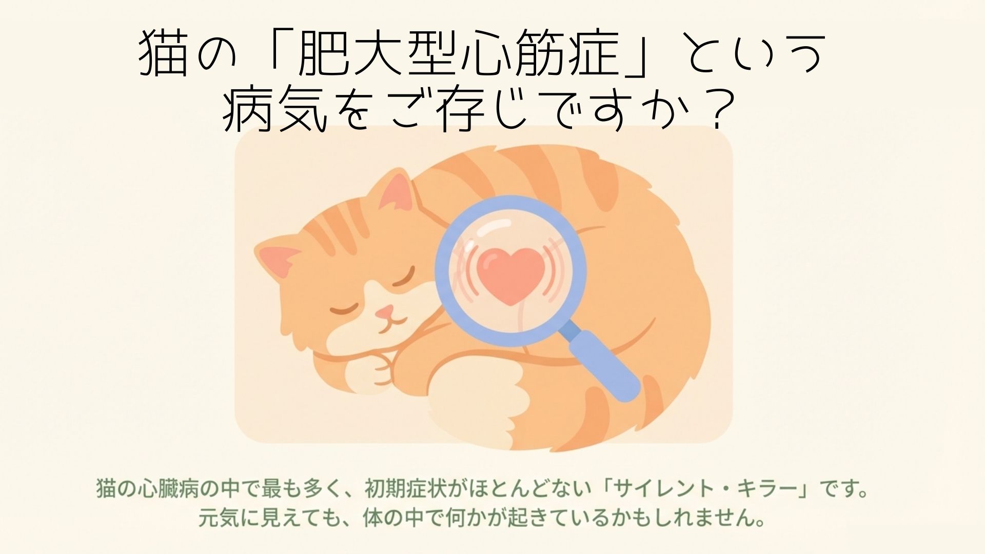 猫の肥大型心筋症について