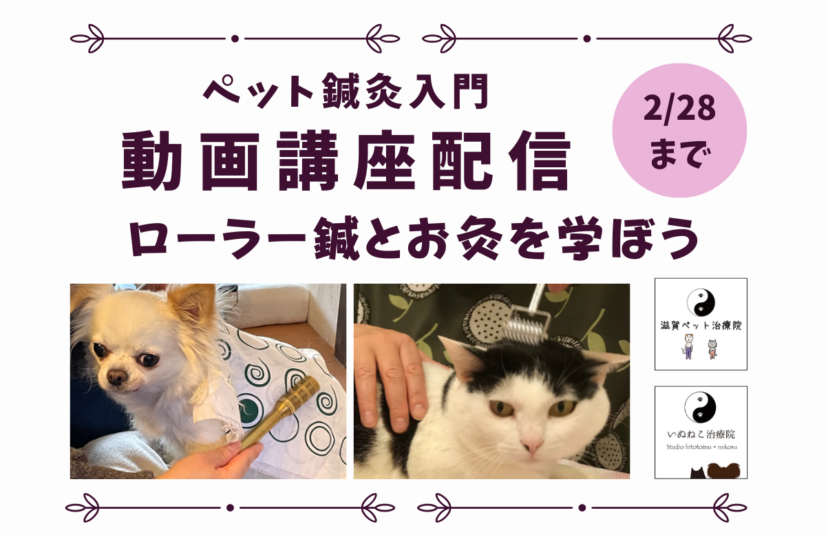 ペット鍼灸入門動画講座配信バナー