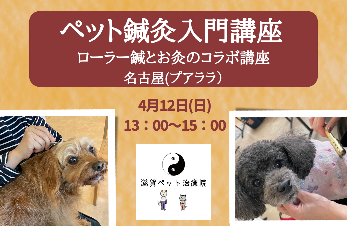 ペット鍼灸入門コラボ講座バナー