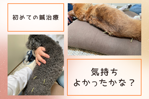 初めての鍼治療