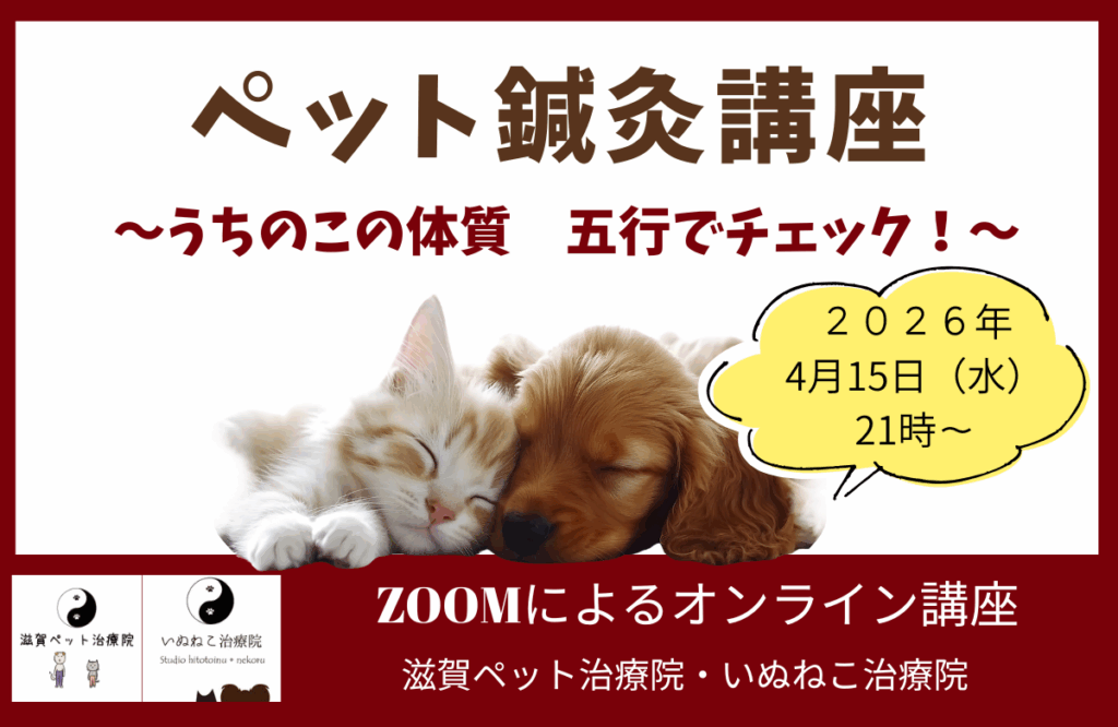 ペット鍼灸講座バナー