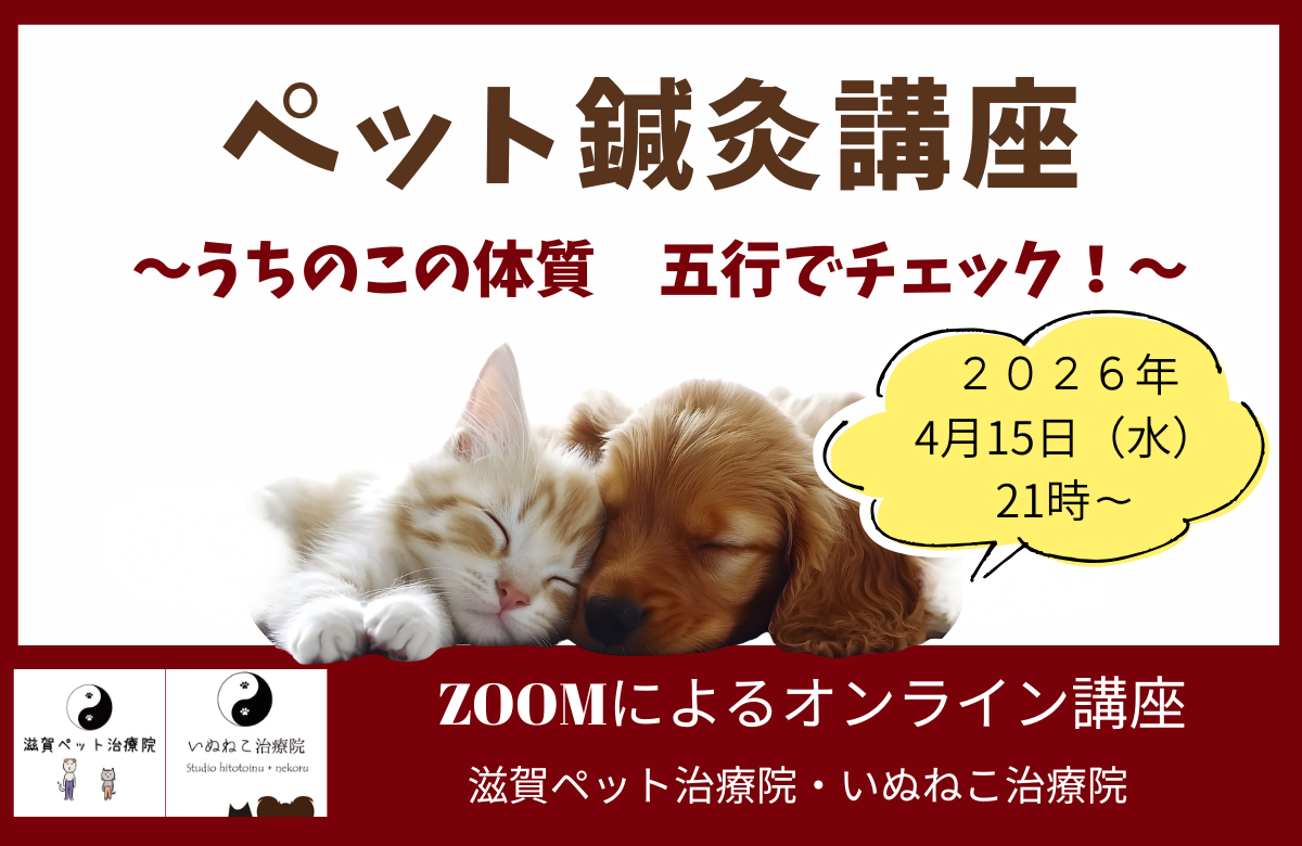 ペット鍼灸講座バナー