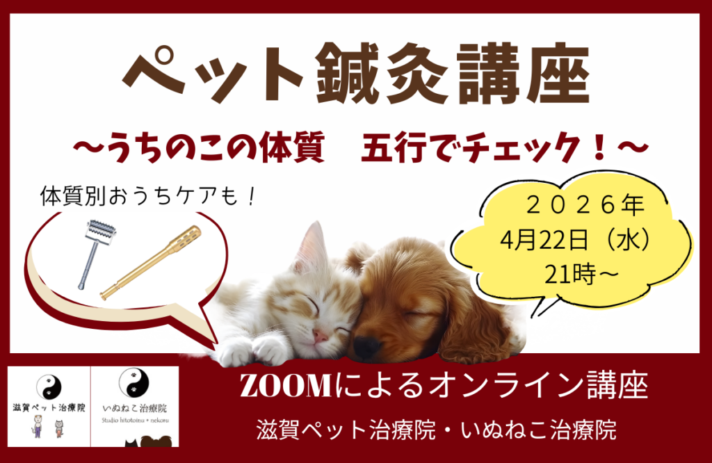 ペット鍼灸入門講座バナー