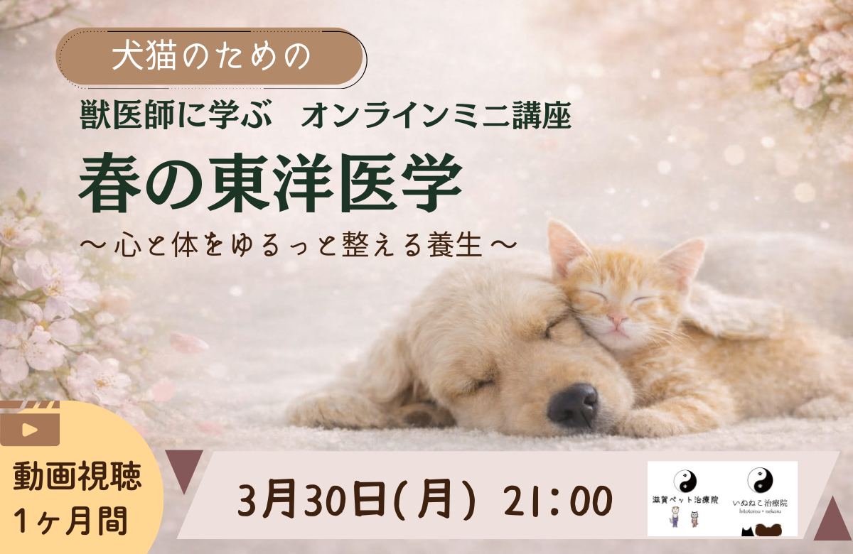 オンラインミニ講座春の東洋医学