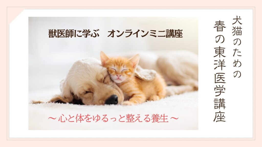春の東洋医学講座バナー