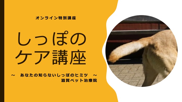 しっぽケア講座バナー