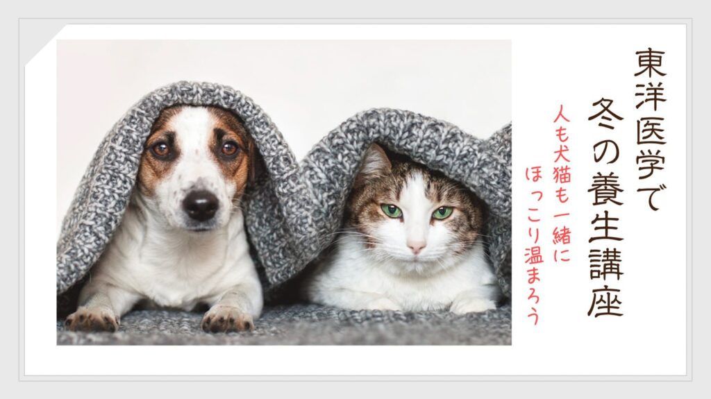 冬の養生講座バナー