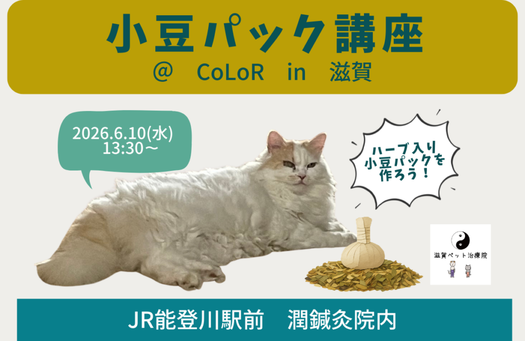 小豆パック講座バナー