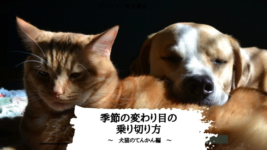季節の変わり目の乗り切り方講座バナー