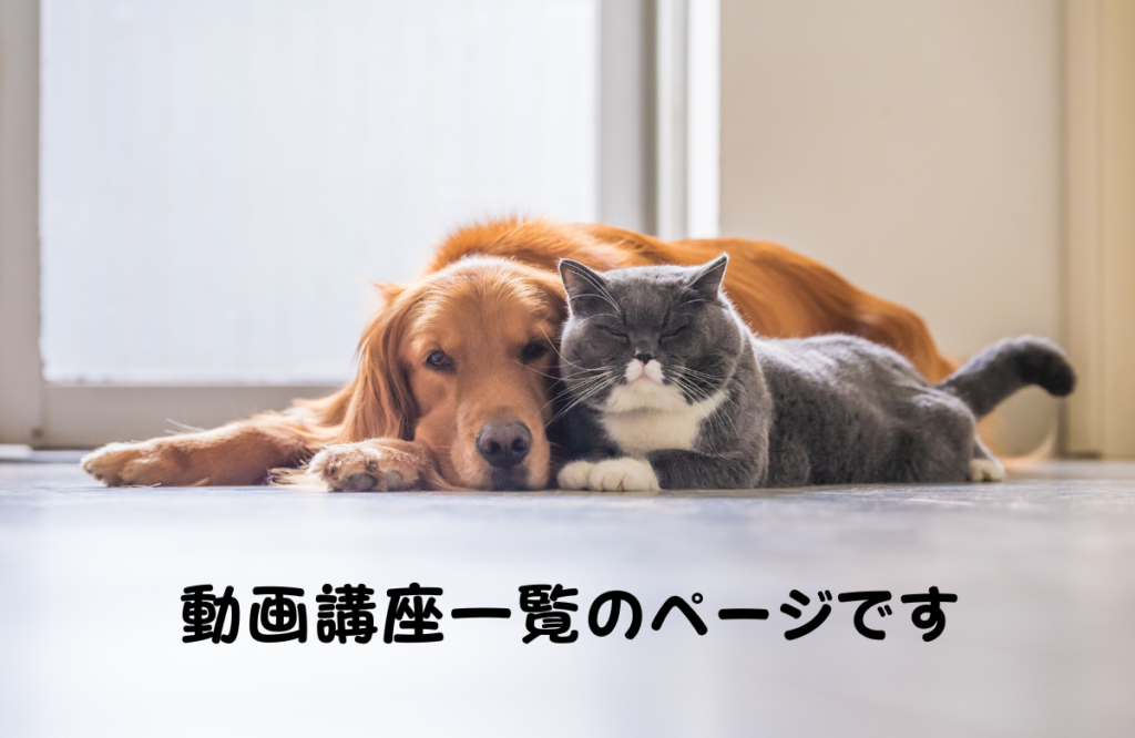 動画講座一覧