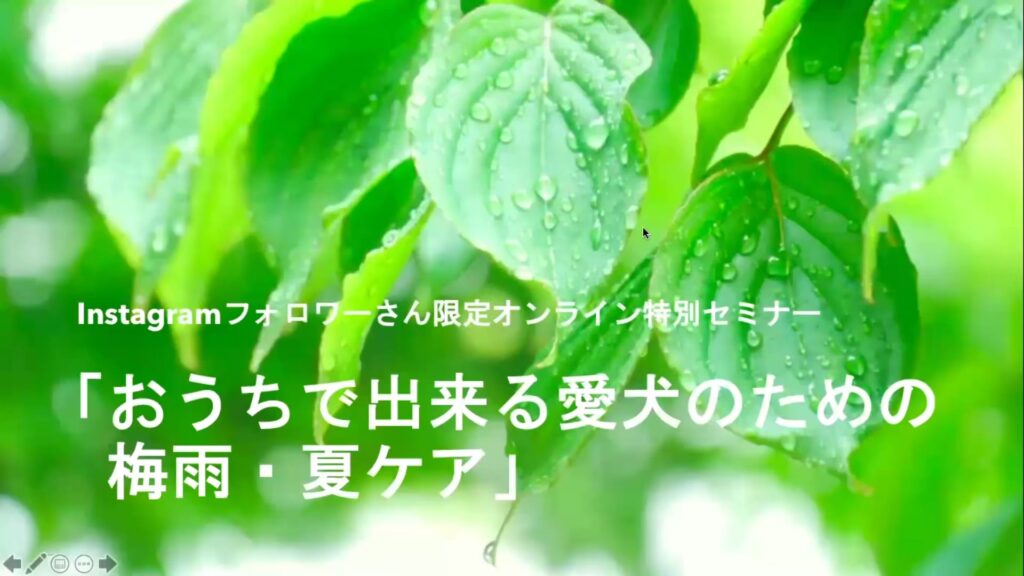 愛犬のための梅雨夏ケアバナー