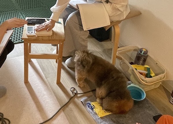 手の強さと測る