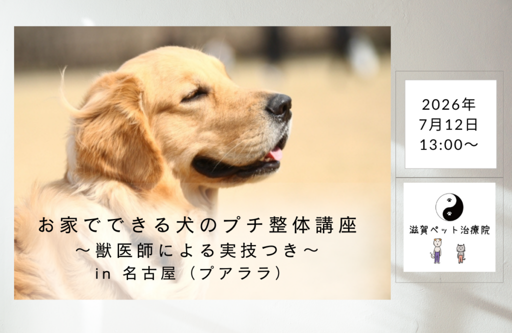 お家でできる犬のプチ整体講座バナー