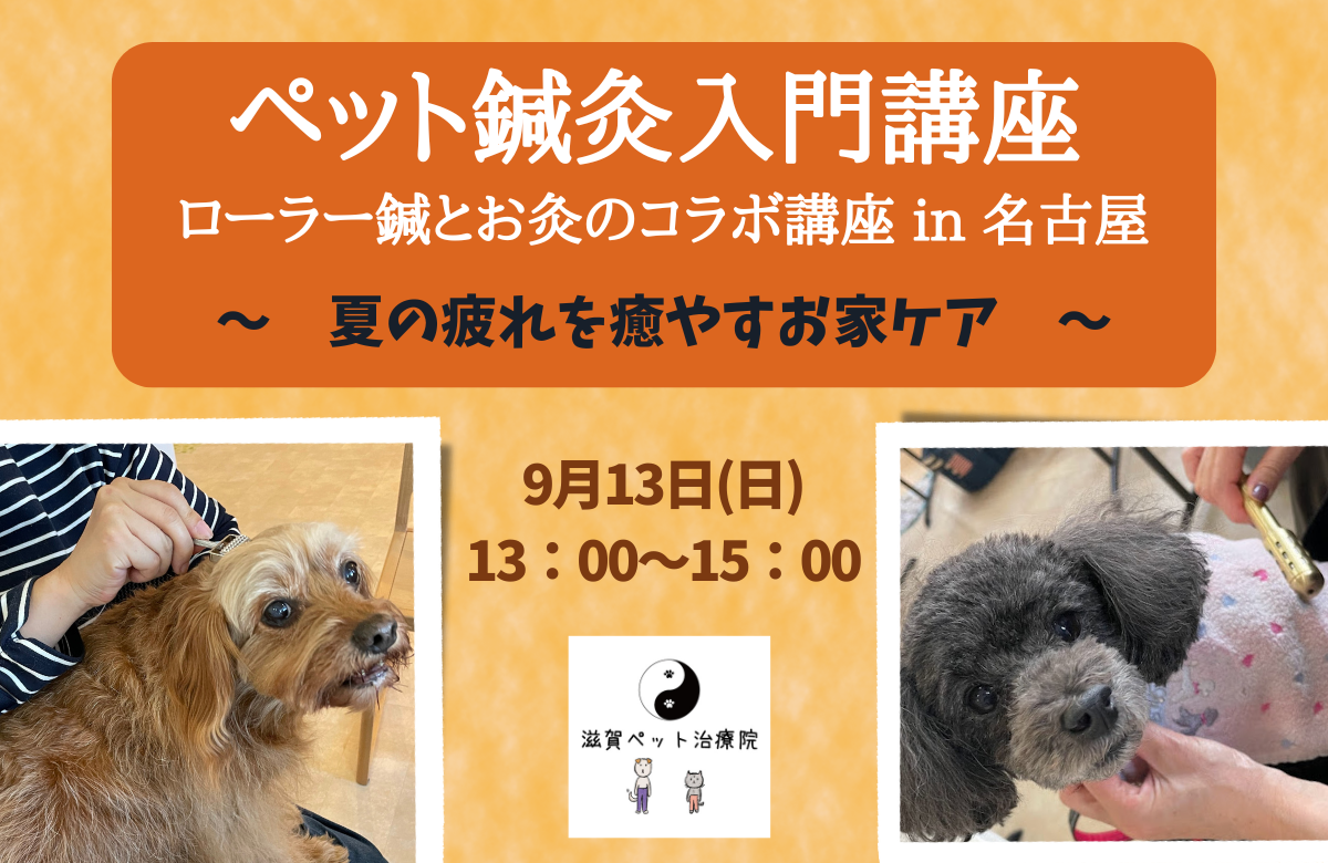 名古屋ペット鍼灸入門講座バナー