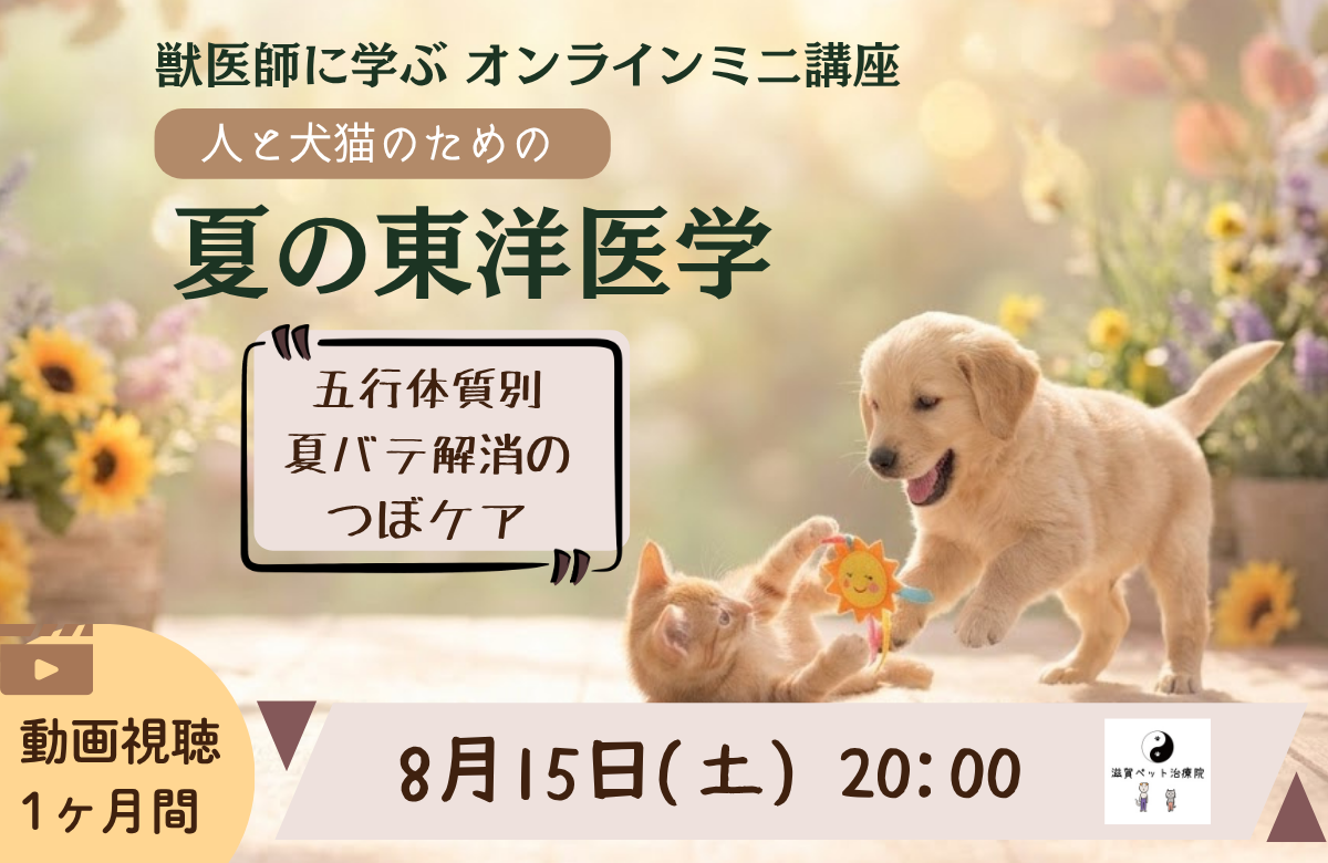 オンラインミニ講座夏の東洋医学バナー
