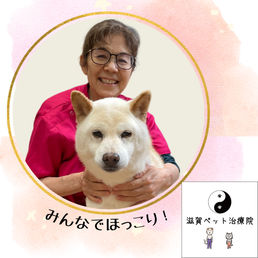 滋賀ペット治療院講座用プロフ