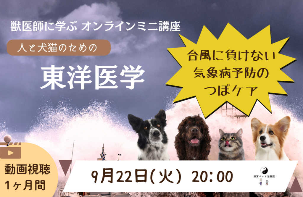 オンラインミニ講座バナー