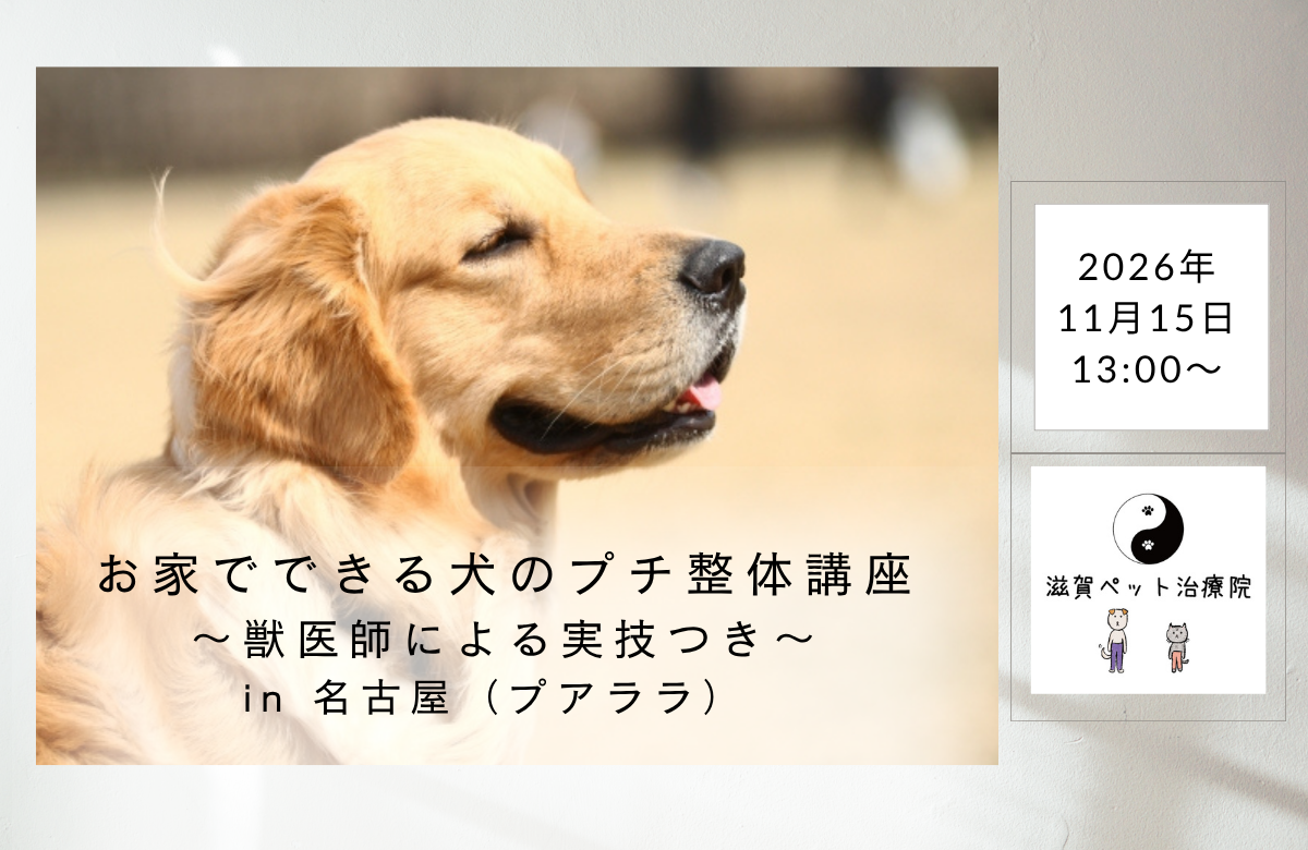 犬のプチ整体講座バナー
