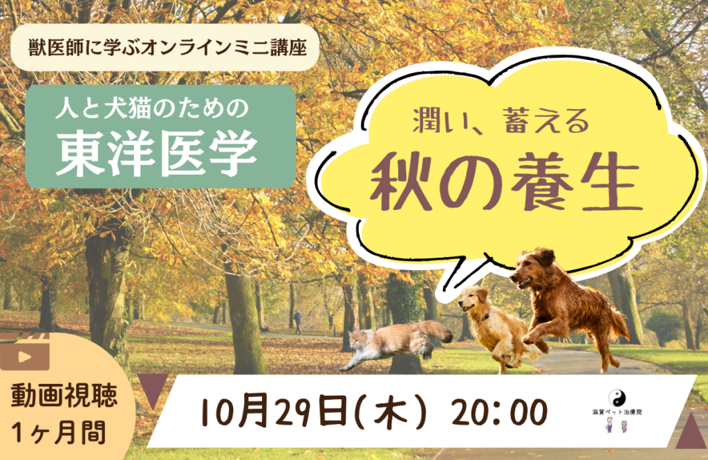 オンラインミニ講座 秋の養生バナー