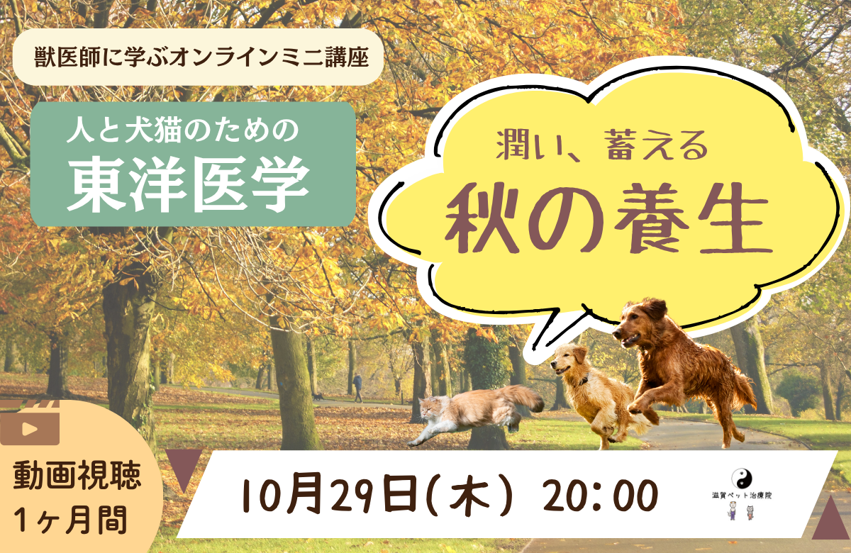 オンラインミニ講座 秋の養生バナー