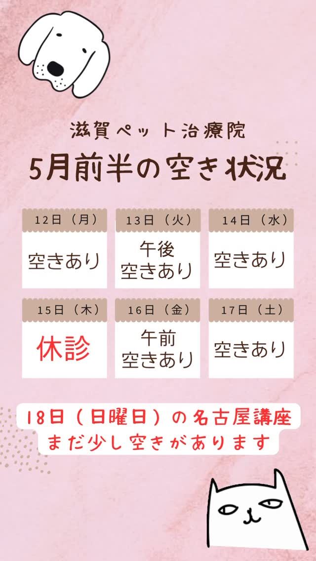 滋賀ペット治療院です。
5月中旬〜後半の空き状況をお知らせします。  5/18（日曜日）は名古屋でプチ整体講座です。
まだ少し空きがありますので、興味のある方はお問い合わせください。
5/24（土曜日）は京都でローラー鍼講座です。
その後、京都で診療を受け付けます。  皆さんのお越しをお待ちしております。☺️  #ペット鍼灸 
#空き状況のお知らせ 
#滋賀ペット治療院