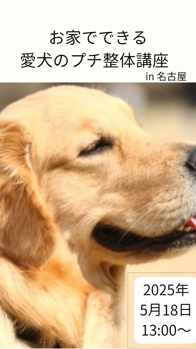 滋賀ペット治療院です。
名古屋市のプアララさんでプチ整体講座やりますよ〜
詳しくはプロフからホームページまたはハイライトをご覧くださいね！  #滋賀ペット治療院 
#犬のプチ整体講座 
#プアララ