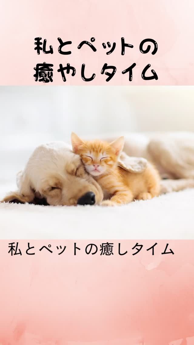 滋賀ペット治療院です。
とうとうAIにローラー鍼と温灸ローラーの歌を作ってもらいました。
みんなで一緒に歌ってね！  #ペット鍼灸 
#ペット鍼灸入門講座 
#ローラー鍼でコロコロ
#お灸講座 
#東洋医学でペットのケア 
#滋賀ペット治療院 
#いぬねこ治療院