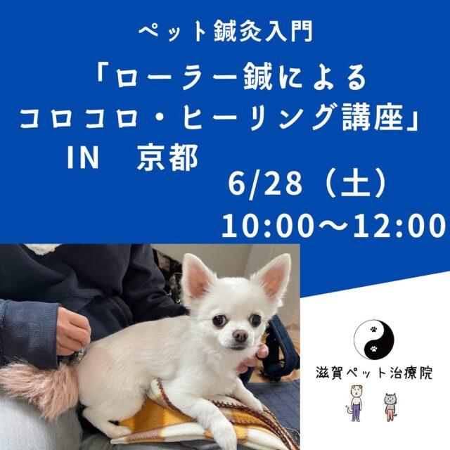 6月28日（土）、京都市のわんこのおやど・ようちえん　るぴこむさんでペット鍼灸入門「ローラー鍼によるコロコロ・ヒーリング講座」を開催します。
梅雨どきのジメジメで体調を崩しがちな犬猫にローラー鍼コロコロで未病ケアをしてあげましょう！  詳しくはプロフからホームページまたはハイライトをご覧くださいね。  Facebookの方は下記のリンクをクリックしてください。  <a rel=